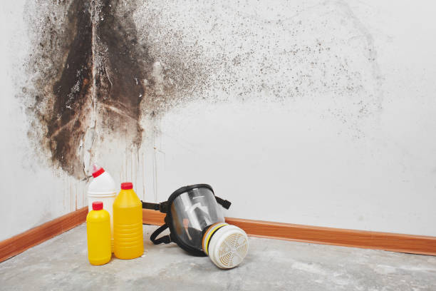 Best Mold Cleaning Services  in Glasgow, OR