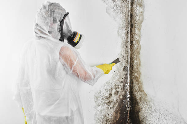 Best Residential Mold Removal  in Glasgow, OR