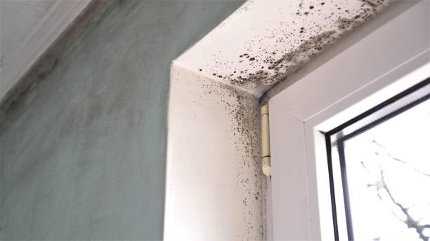 Best Mold Testing  in Glasgow, OR
