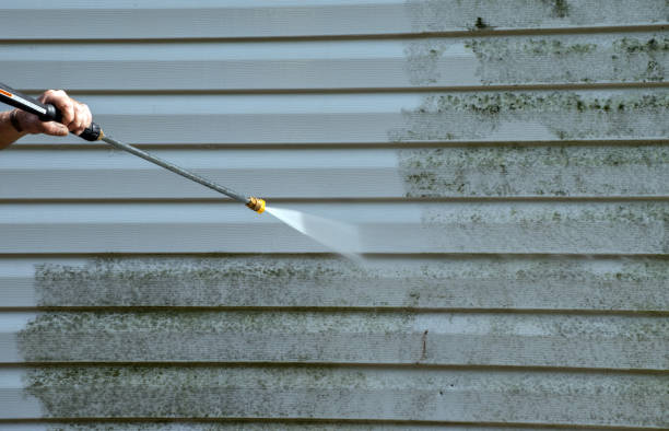Professional Mold Removal in Glasgow, OR