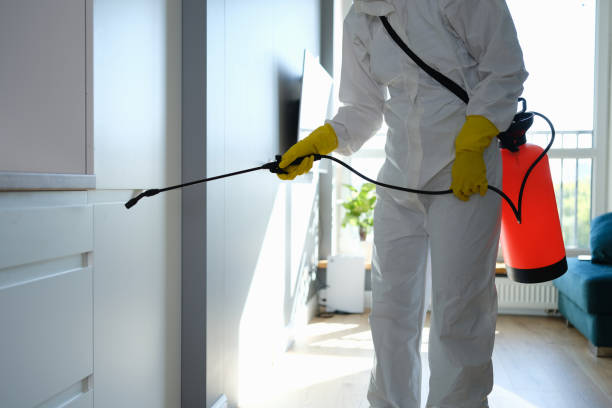 Certified Mold Removal in Glasgow, OR