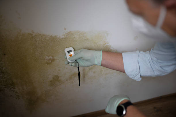 Best Crawl Space Mold Removal  in Glasgow, OR