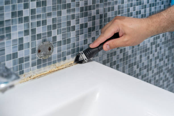 Best Toxic Mold Removal  in Glasgow, OR