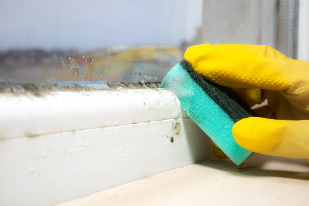 Best Certified Mold Removal  in Glasgow, OR