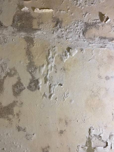 Best Mold Cleaning Services  in Glasgow, OR