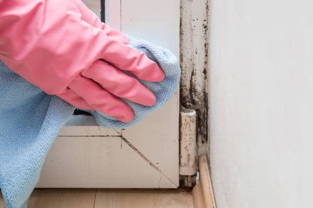 Best Fast Mold Removal  in Glasgow, OR