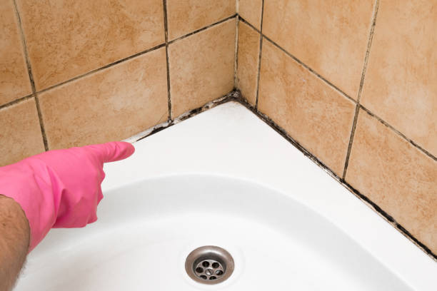 Best Emergency Mold Removal  in Glasgow, OR